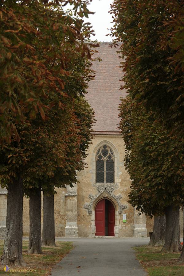 Nom de l'image : D30080436_1_(c)Norbert-JUNG — Description :